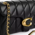 Dionysus Chain Shoulder Bag
