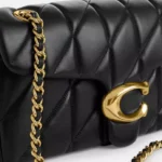 Dionysus Chain Shoulder Bag